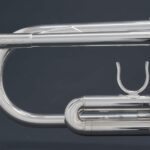 TP-239