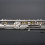 FL-498