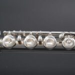 FL-498