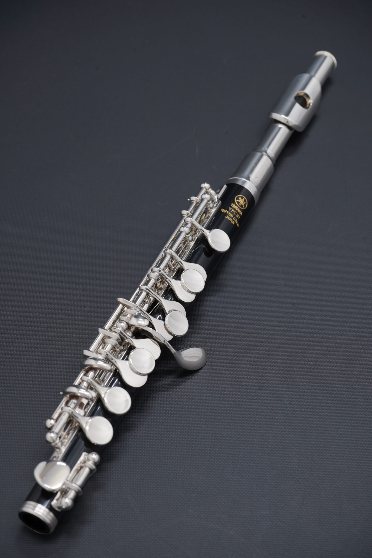 PICC-485