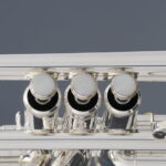 TP-691