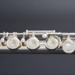FL-488
