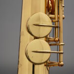 SNSAX-689