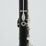 CL-619