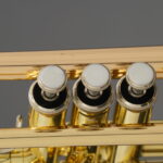 TP-394