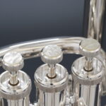 EUPH-110