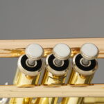 TP-698