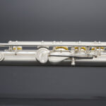 FL-494