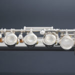 FL-313