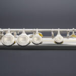 FL-388