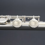 FL-388